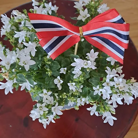 Διαμέρισμα George&k